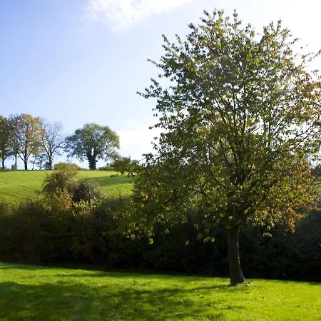 In Gemmenich With Forest Views